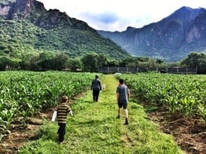 Hiking is a big part of La Villa Bonita Culinary Vacation