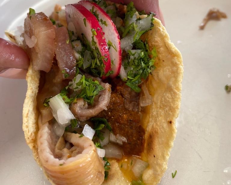 National Taco Day? How about a Carnitas Recipe?